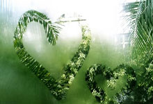 英冠南安普敦vs普雷斯顿最新情况如何？